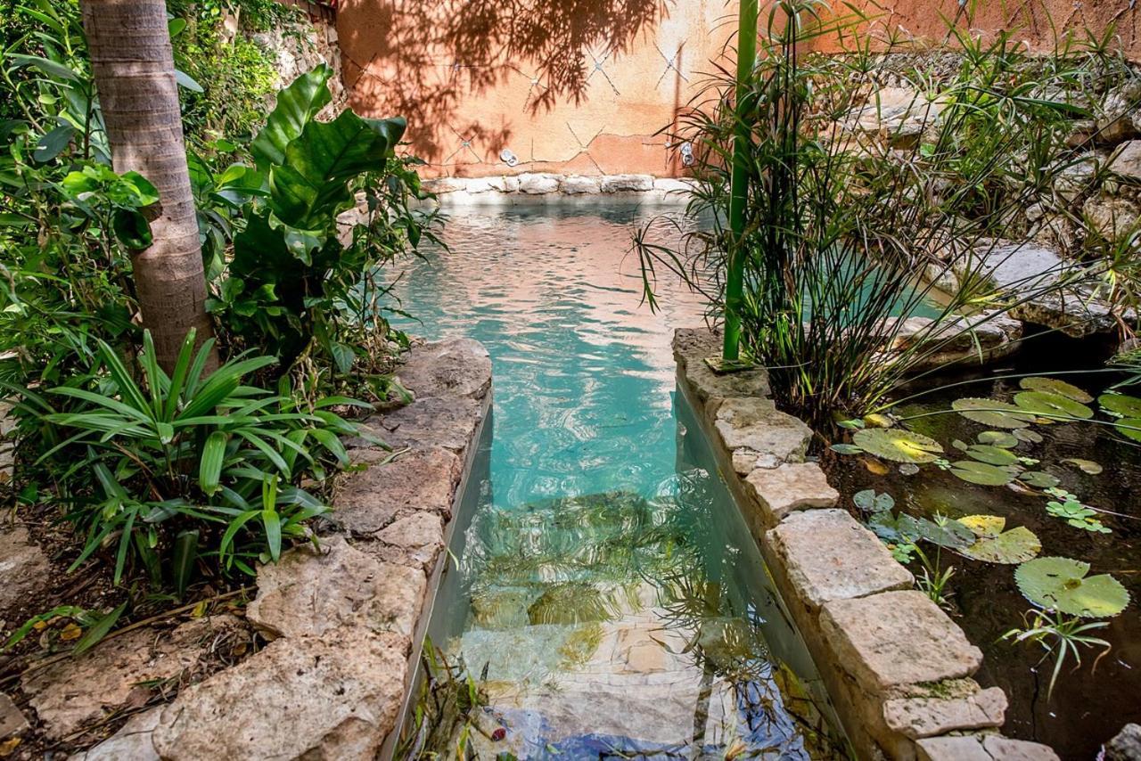 Majikal B&B - Pueblo Maya Mérida Exterior foto